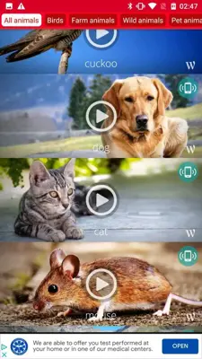 Animals: Ringtones android App screenshot 1