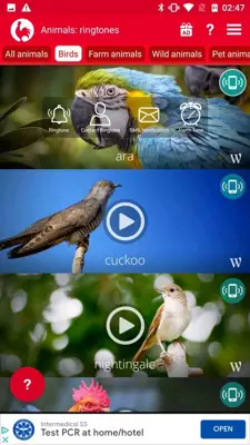 Animals: Ringtones android App screenshot 2