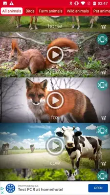 Animals: Ringtones android App screenshot 5