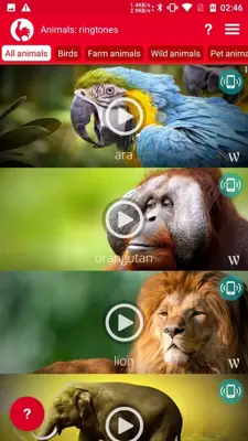 Animals: Ringtones android App screenshot 6