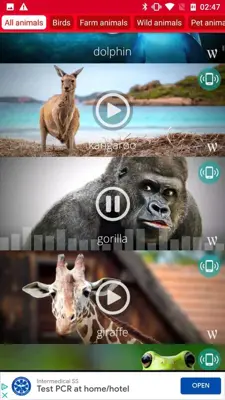 Animals: Ringtones android App screenshot 7