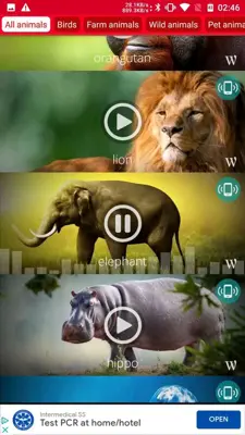 Animals: Ringtones android App screenshot 8